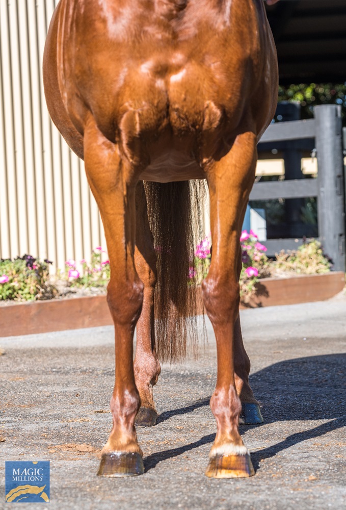 Dreams and Wishes (AUS) - photo 3