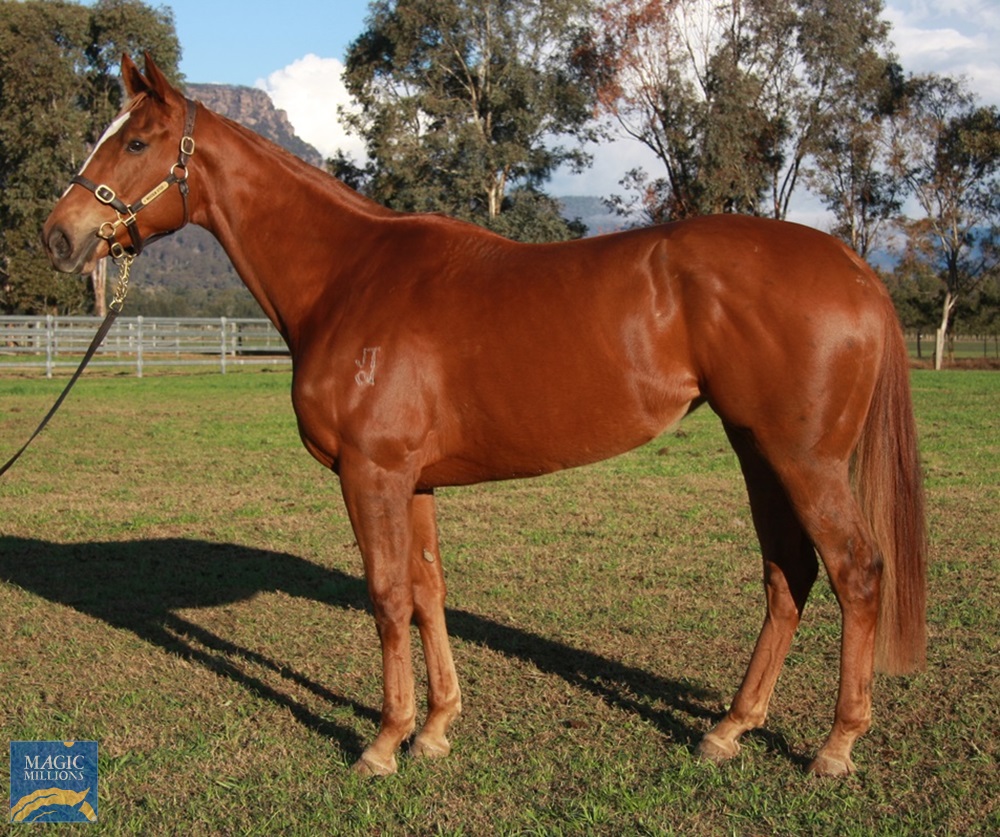 Edinburgh (AUS) - photo 1