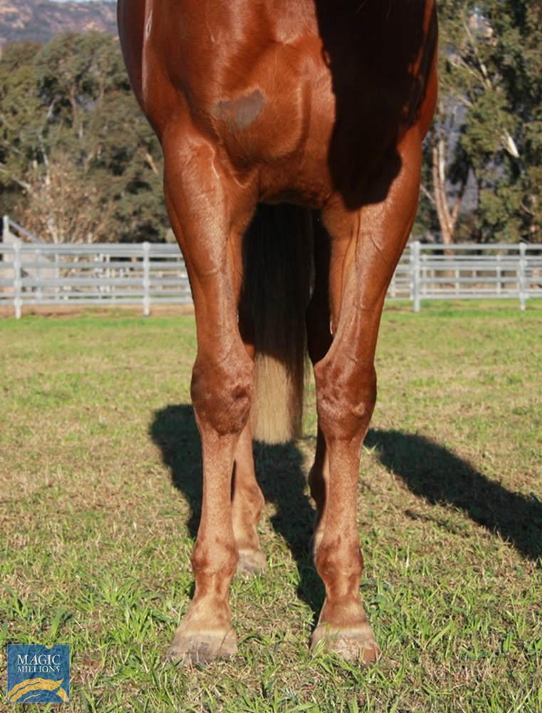 Edinburgh (AUS) - photo 3