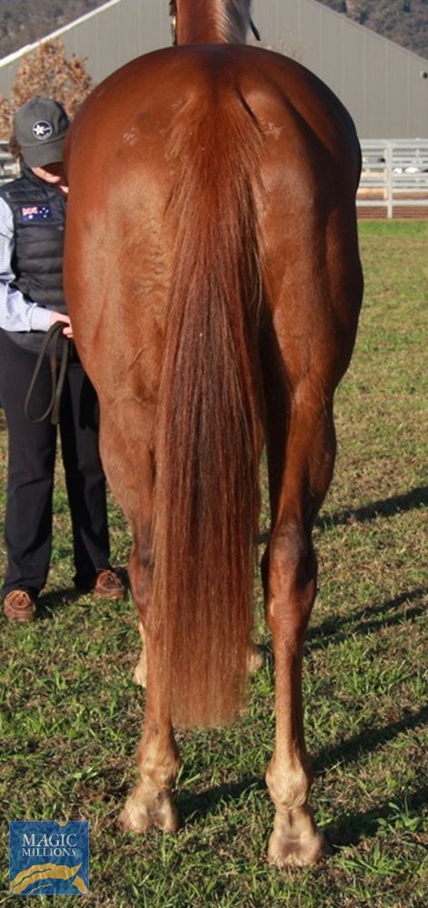 Edinburgh (AUS) - photo 4