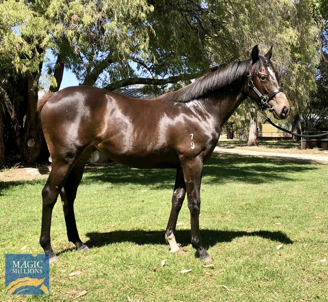 3D3D5391-09FF-4892-9614-3D1E74C259C6.jpg - Image 1