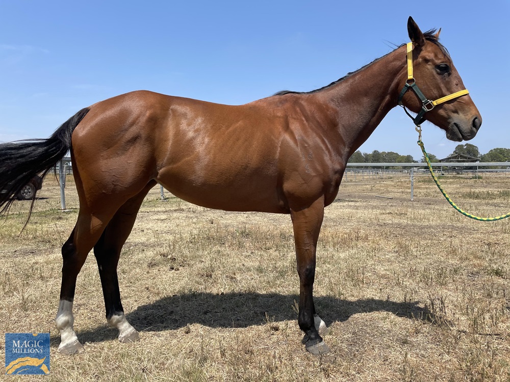 Principle (AUS) - Image 1