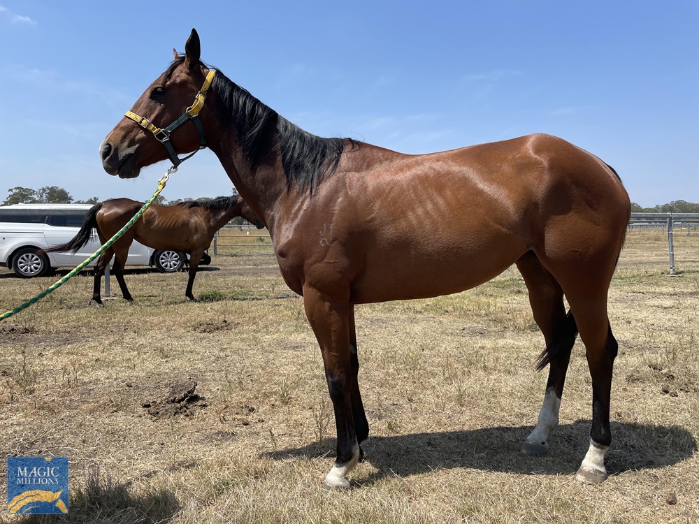 Principle (AUS) - Image 2