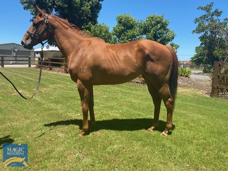 IMG_1016.jpg - Image 1