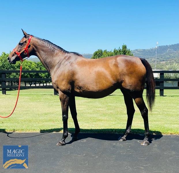 Rose 1.jpg - Image 1