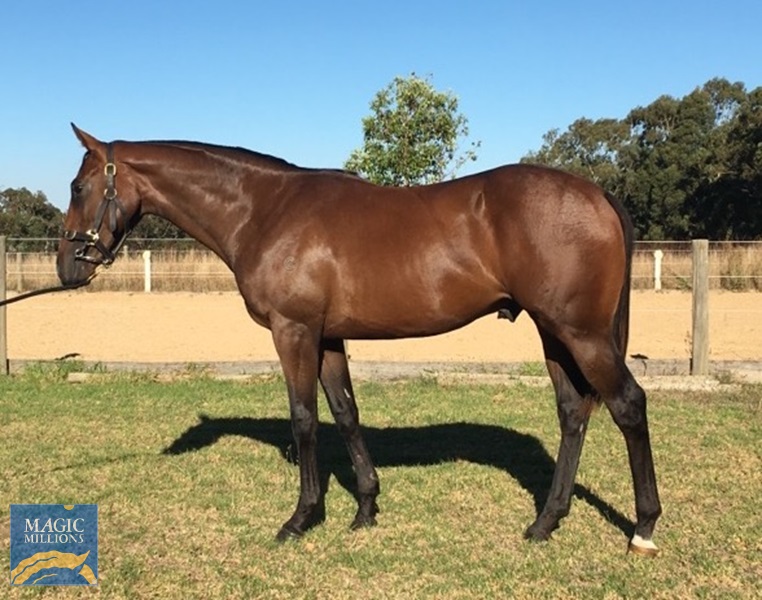 Rose 4.jpg - Image 4