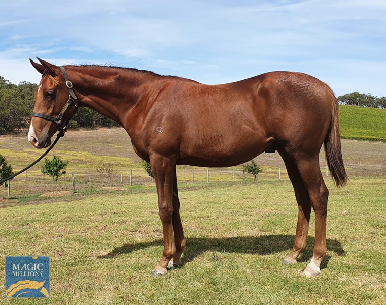 Rose 5.jpg - Image 3