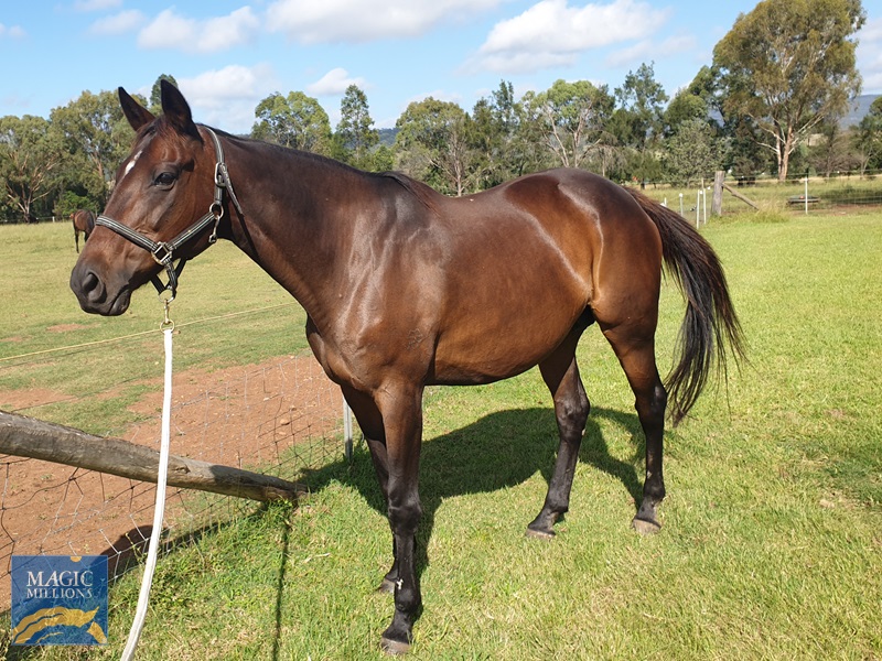 20210222_095648.jpg - Image 1