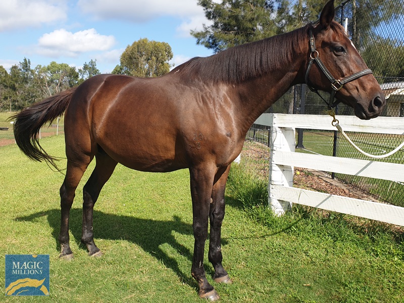 20210222_095453.jpg - Image 2