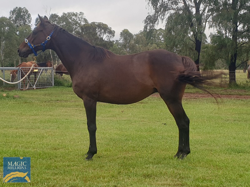 20210223_170343.jpg - Image 3