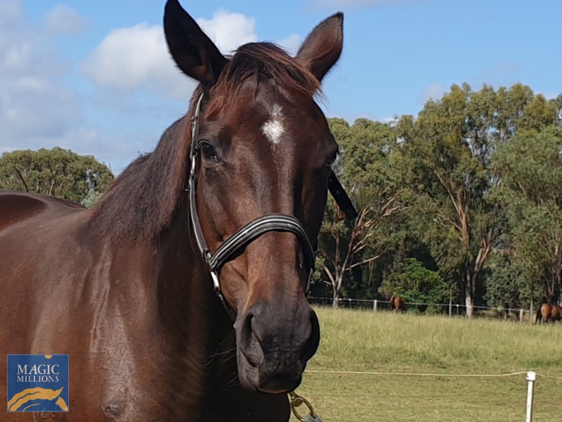 20210222_095549.jpg - Image 4