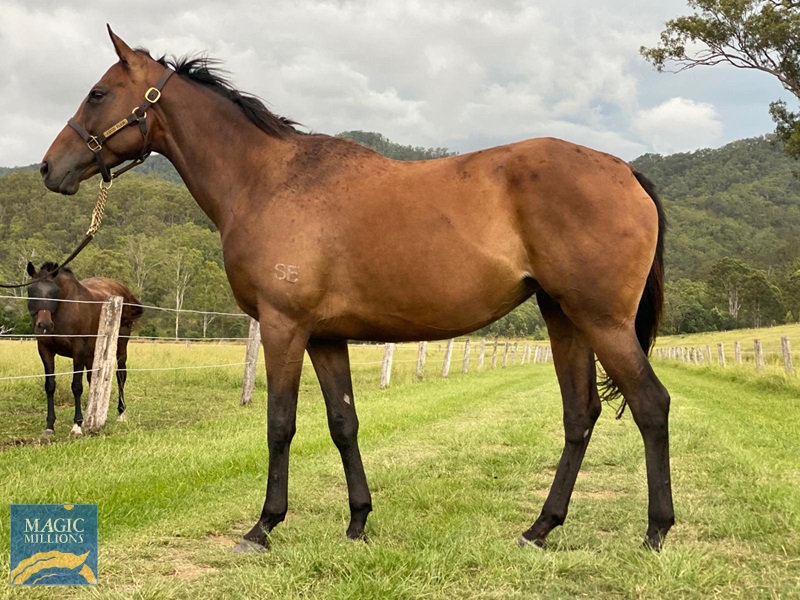 Psychedelic Furs Side.jpg - Image 1