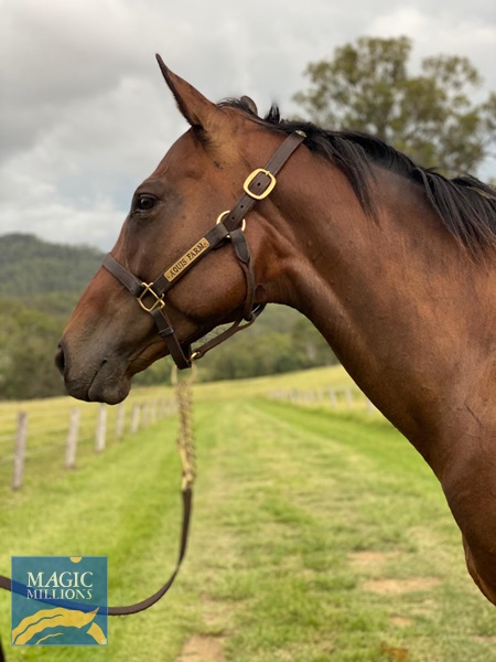 Psychedelic Furs Head.jpg - Image 2