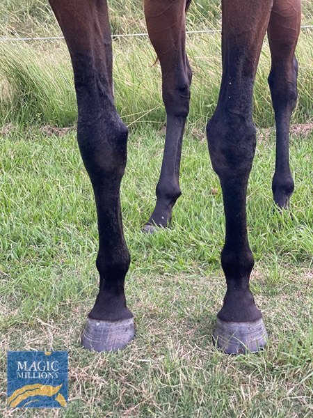 Psychedelic Furs Front.jpg - Image 3