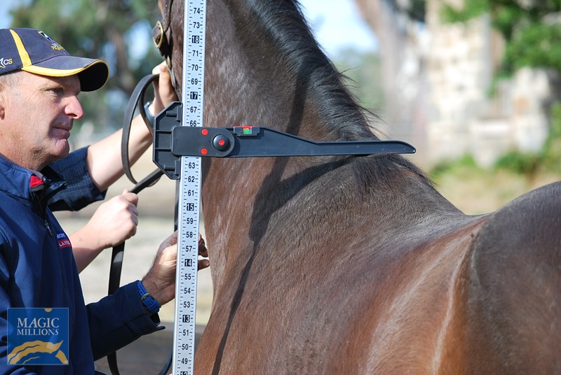 Rosebrook Height.jpg - Image 2