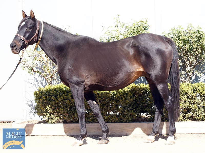 ViennaSunrise.jpg - Image 1