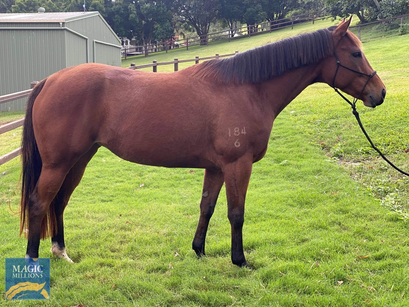 54F17198-49DF-4E25-BF4F-A32C81D2D201.jpg - Image 1