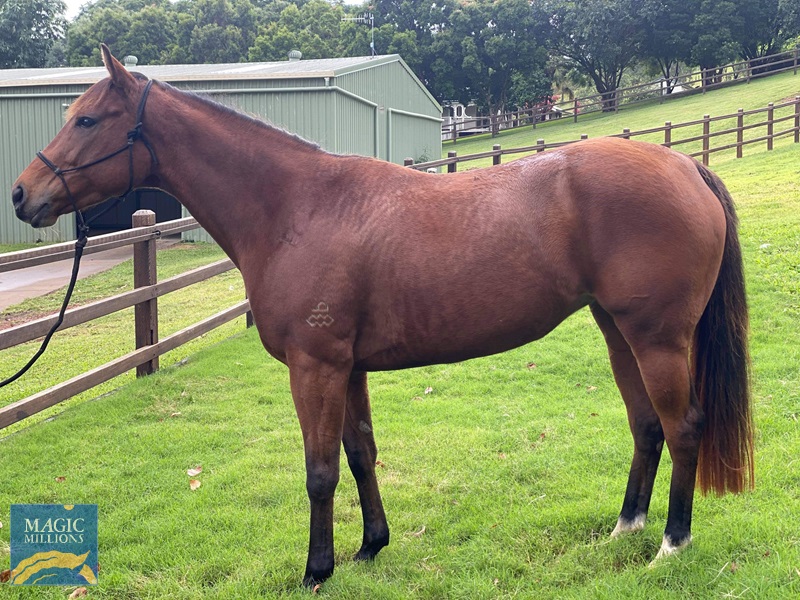 50AC7C08-FFC5-41C6-A7A5-1A8B7ED6844B.jpg - Image 2