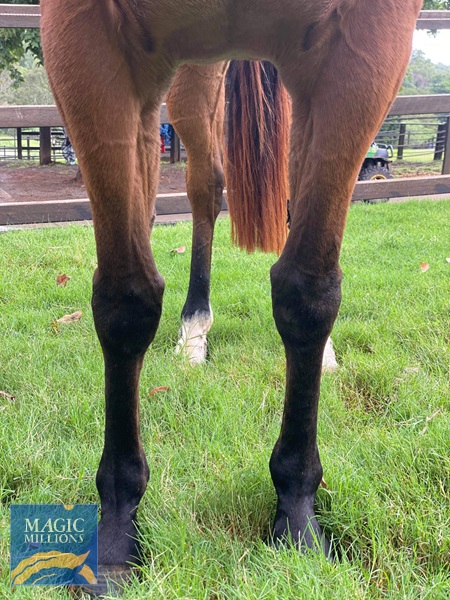 B9766975-F7D9-43E5-AA30-B28099D007EC.jpg - Image 3