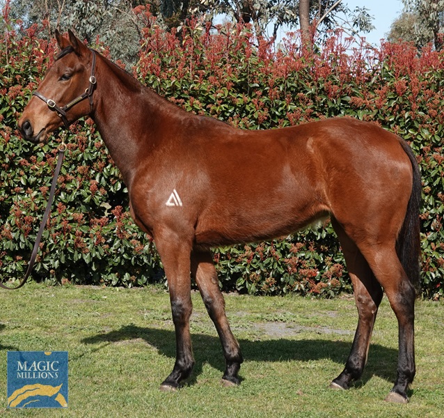 DSC04620.jpg - Image 1