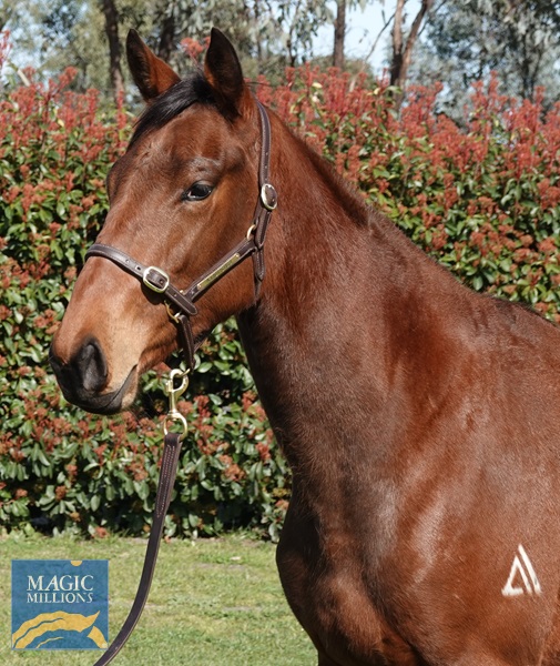 DSC04631.jpg - Image 2