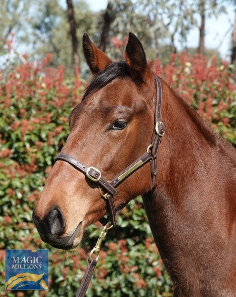 DSC04637.jpg - Image 3