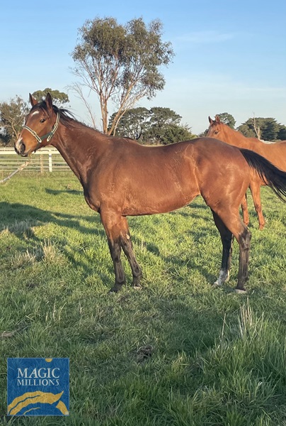 IMG_3950.jpg - Image 1