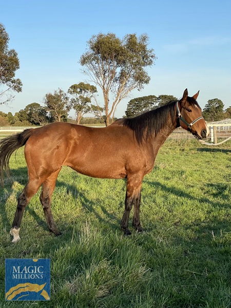 IMG_3951.jpg - Image 2