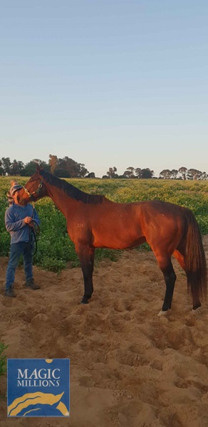 Bold Victoria.jpg - Image 1