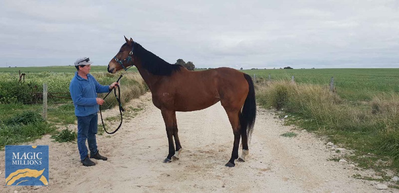 Western Star.jpg - Image 1