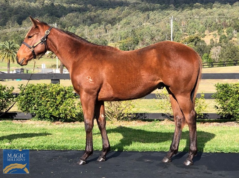 Dream Free 20 Side.jpg - Image 1