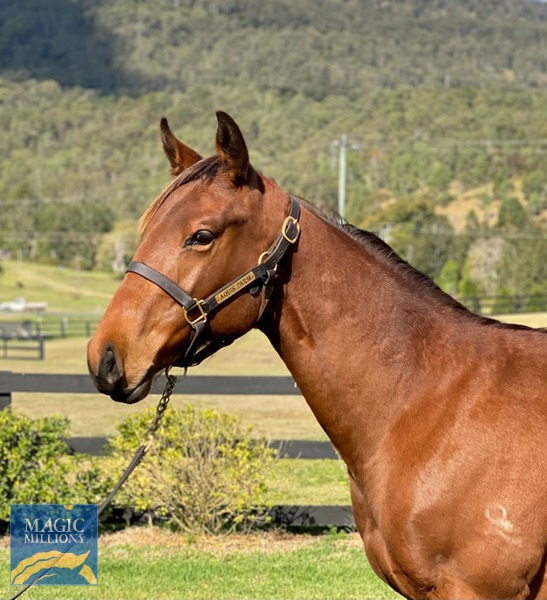 Dream Free 20 headshot.jpg - Image 2