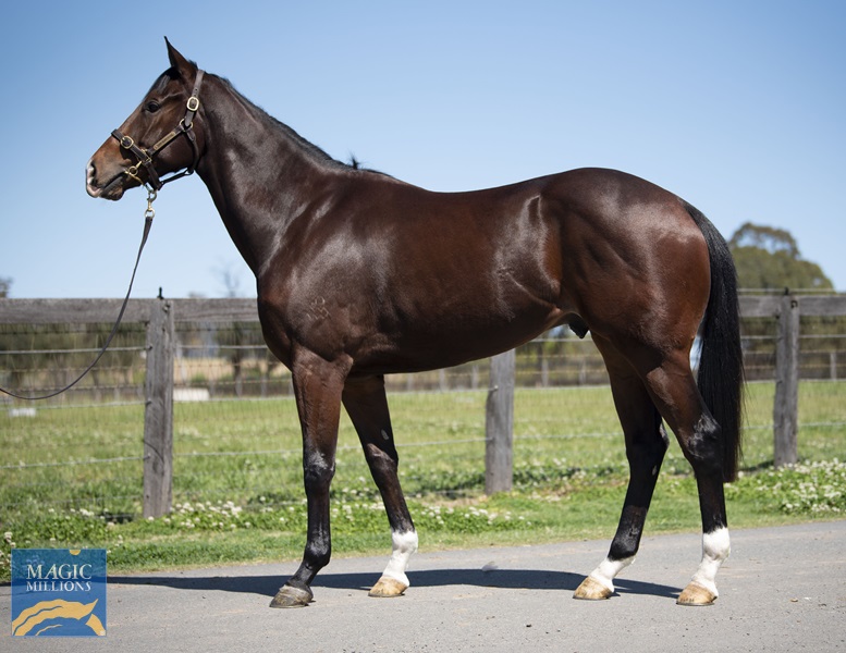 Shabash1.jpg - Image 1