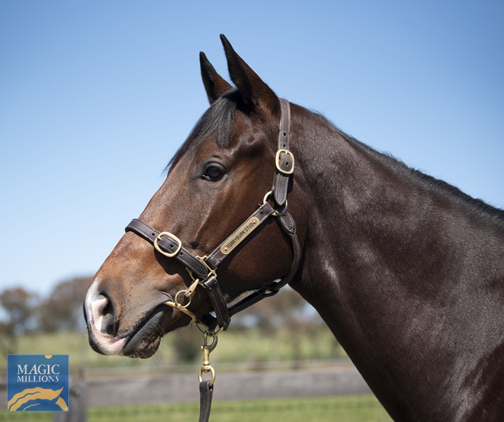 Shabash.jpg - Image 2