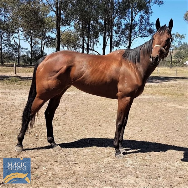 Belle Pic 1.jpg - Image 1