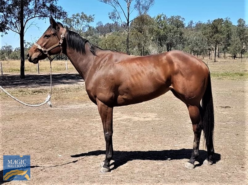 Belle Pic 2.jpg - Image 2