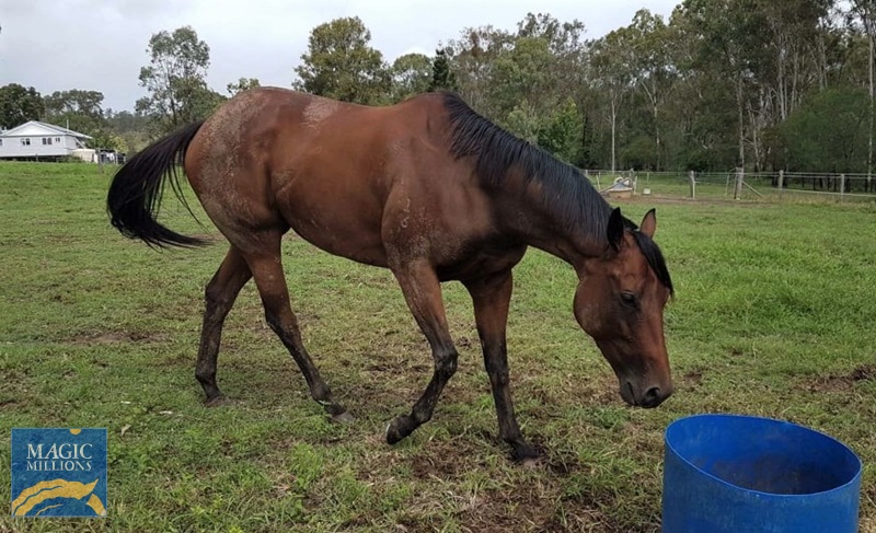 Belle Pic 4.jpg - Image 4