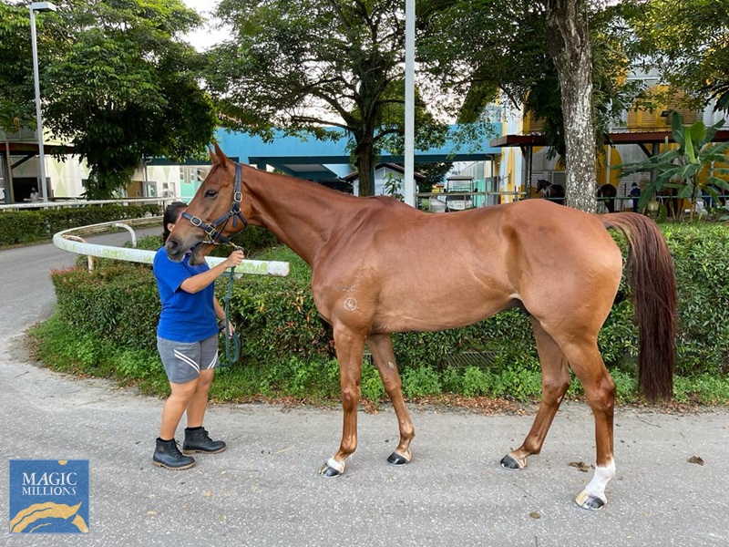 Leatherhead.jpg - Image 1