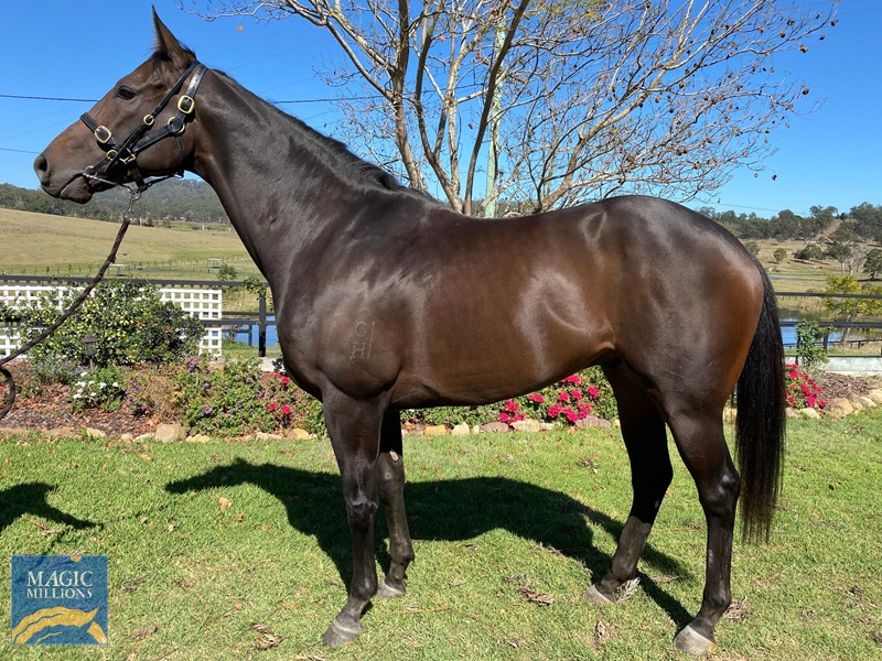 Sciconic.jpg - Image 1