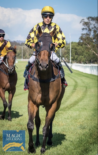 IMG_0181.jpg - Image 3