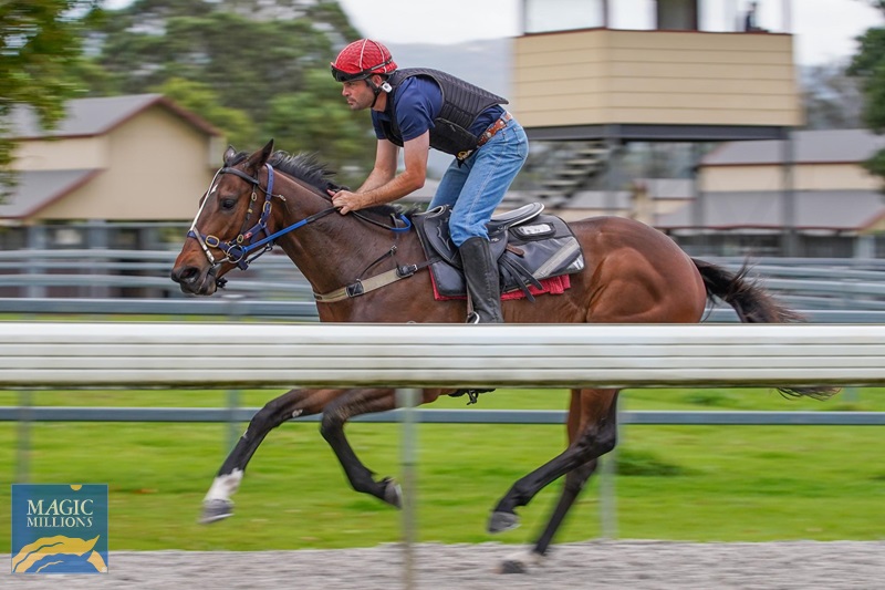 IMPEACHER.jpg - Image 1