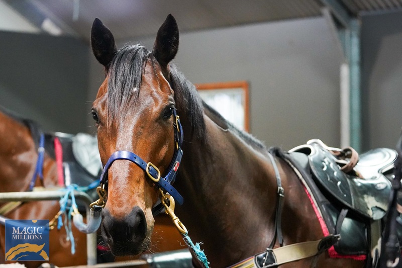 IMPEACHER HEAD.jpg - Image 2