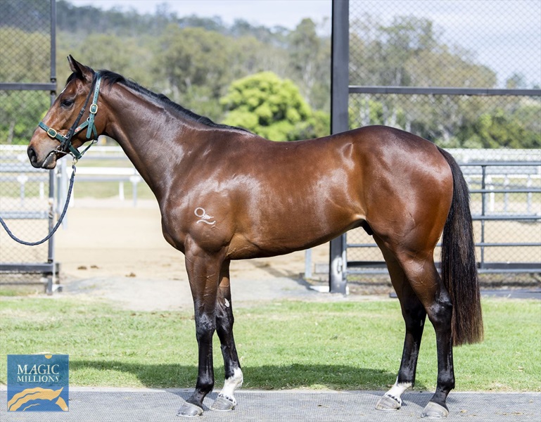 28.9.21 Impeacher.jpg - Image 3