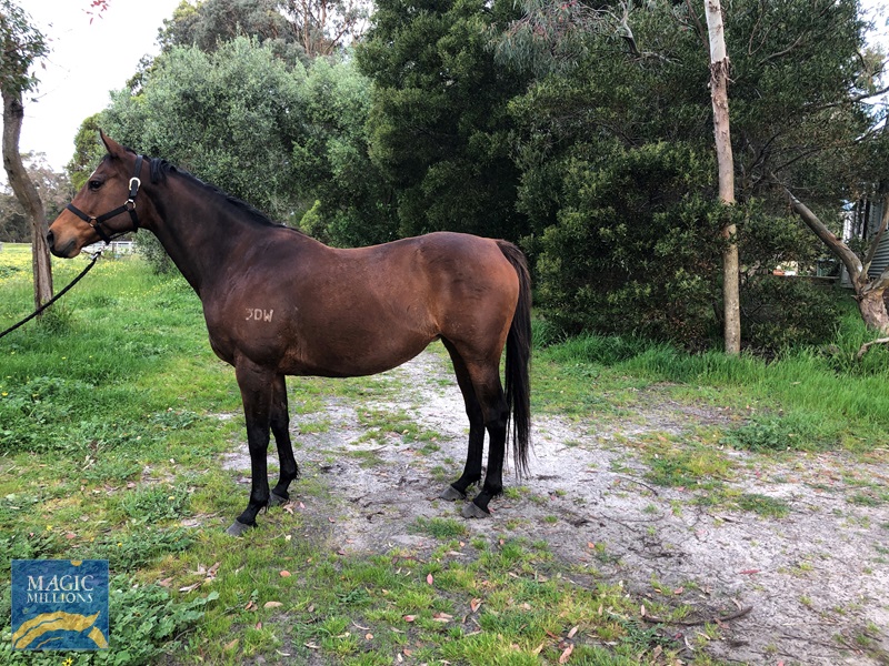 catzeel.jpg - Image 1