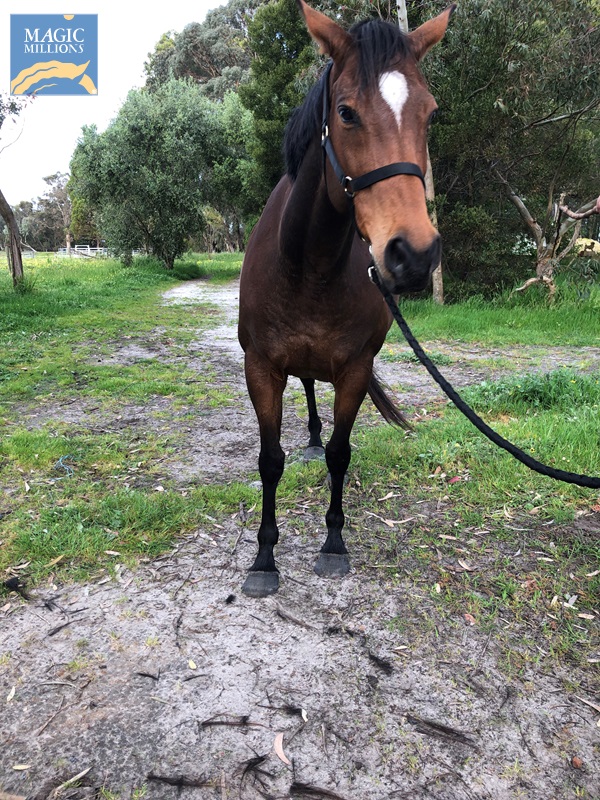 catzeel.jpg 2.jpg - Image 2