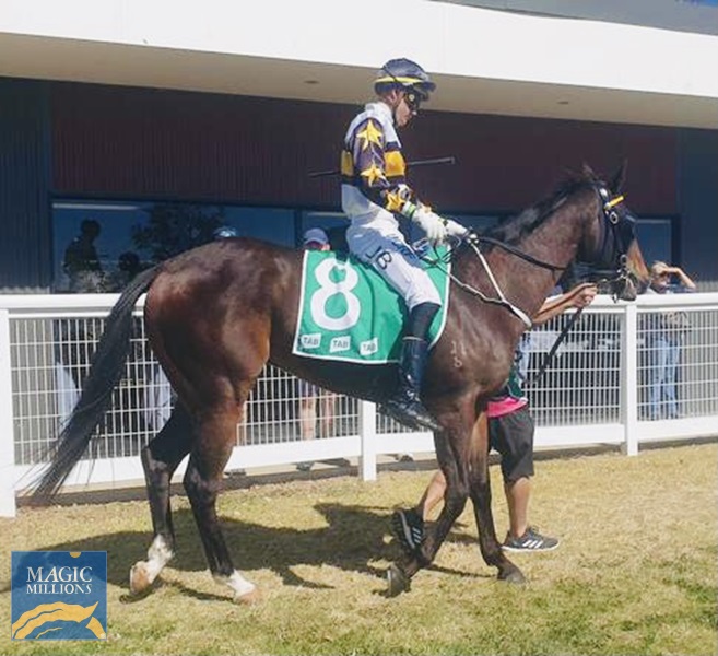 91CA7FF8-FDE6-42F6-9CBE-3C7069AE68C0.jpg - Image 1