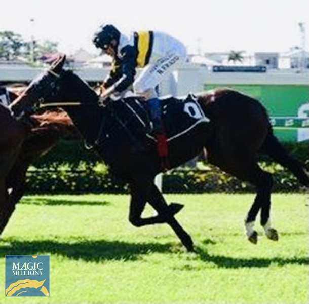 2E2C4F57-2291-4F9C-B1DB-63958220D0DC.jpg - Image 2