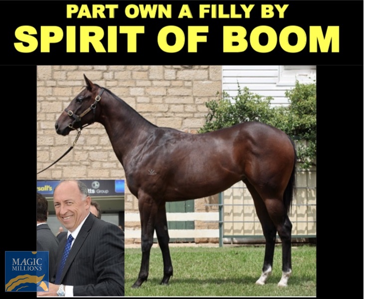 D27F4DF0-C8B9-425B-AA06-347A41448FC5.jpg - Image 3