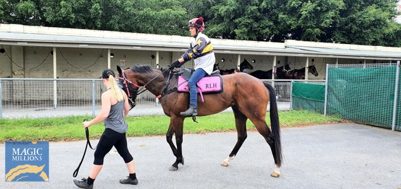 846AD3EC-5EAD-4E9E-85FB-3E91A571BC16.jpg - Image 4