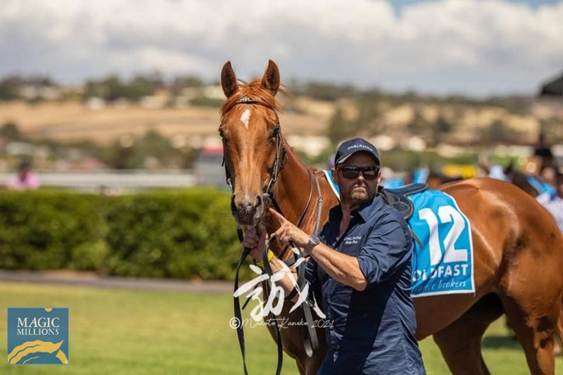 Ollie 5.jpg - Image 3